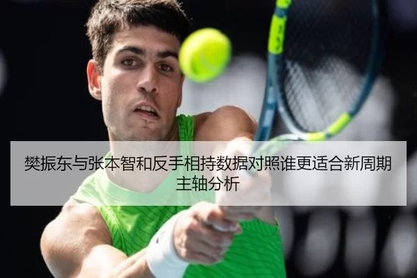 樊振东与张本智和反手相持数据对照谁更适合新周期主轴分析
